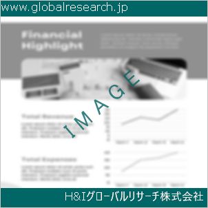 グローバルリサーチ調査資料のイメージ